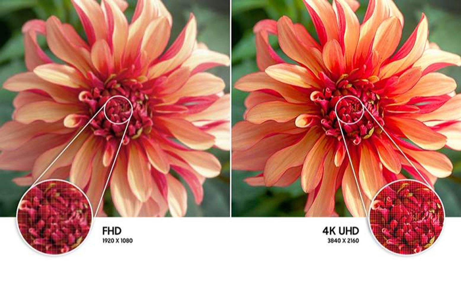 Độ phân giải UHD 4K - Smart Tivi Samsung 4K 55 inch UA55AU8000