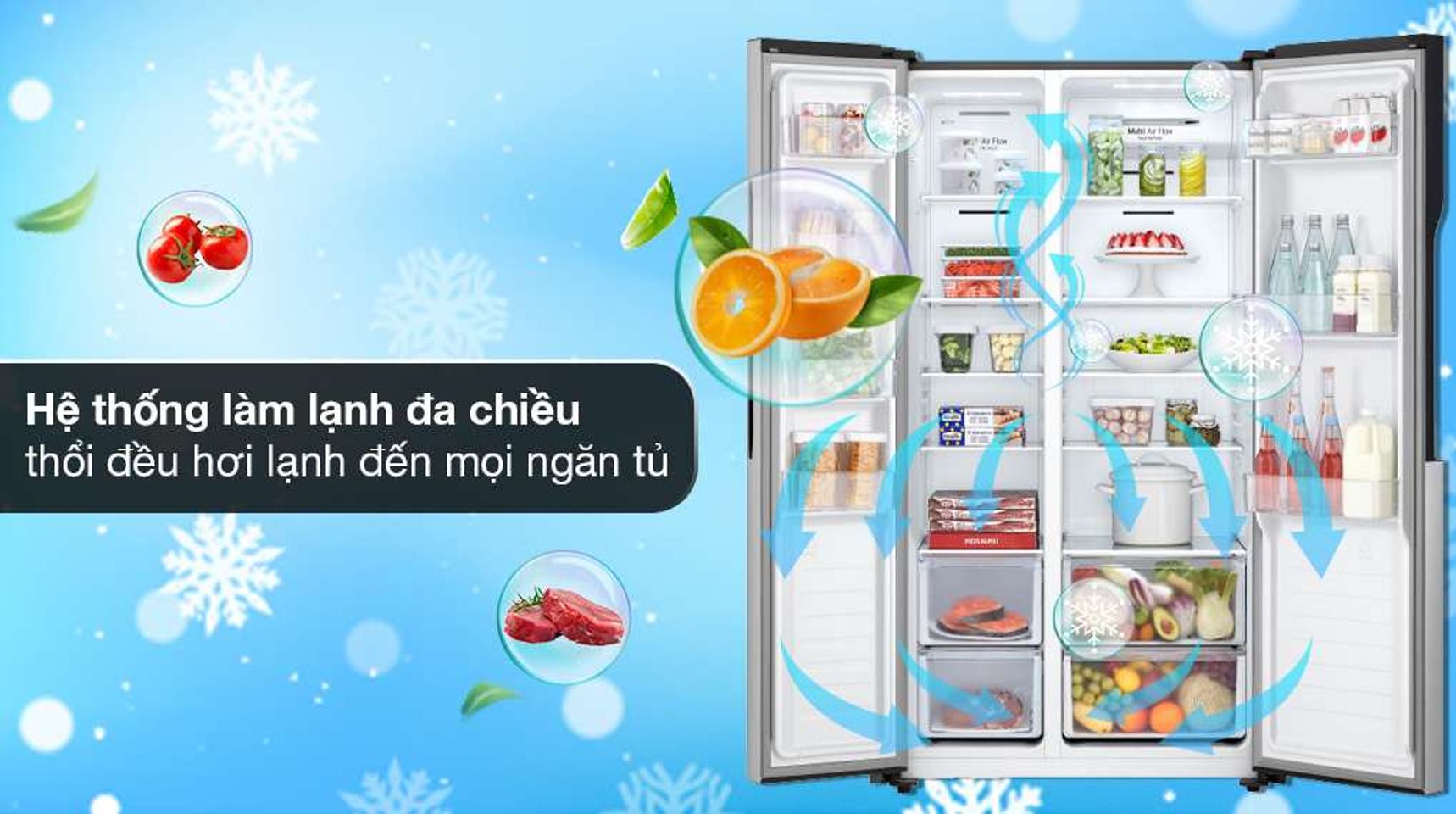 Tủ lạnh LG GR-B256JDS