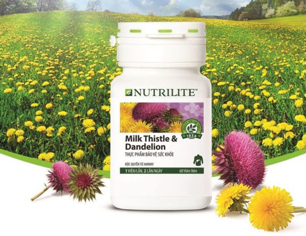 Thực phẩm chức năng bảo vệ Gan Nutrilite Milk Thistle & Dandelion 2