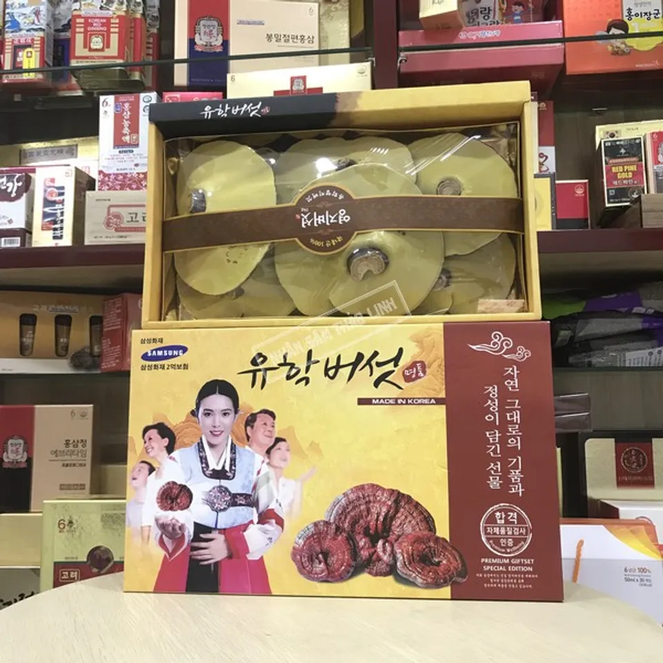 Nấm linh chi vàng chanh hộp cô gái Hàn Quốc 1kg 1