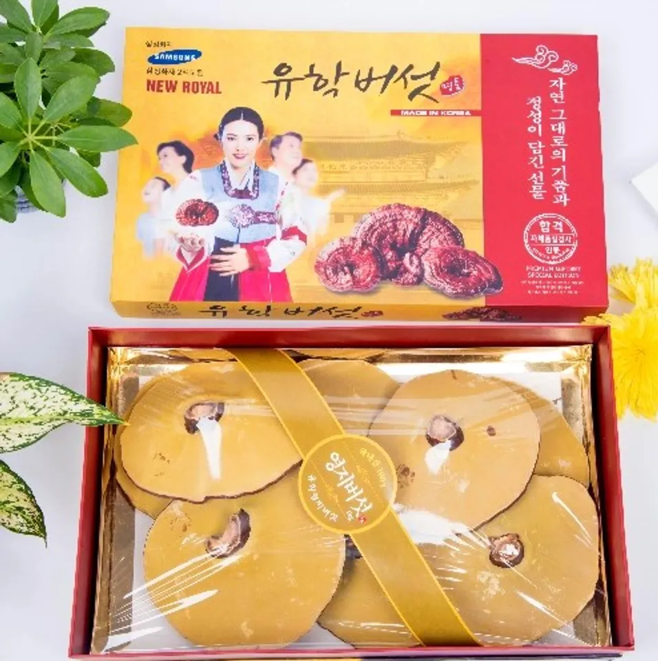 Nấm linh chi vàng chanh hộp cô gái Hàn Quốc 1kg 2