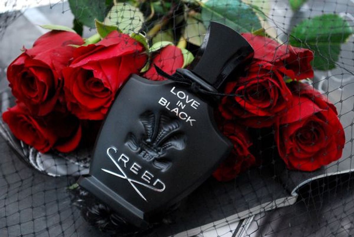 Nước hoa Creed Love In Black Eau de Parfum 1