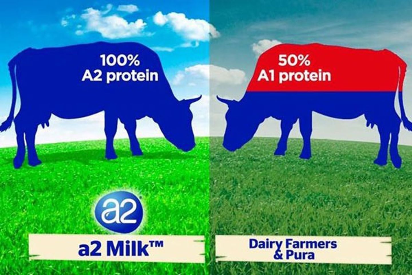 Sữa A2 Úc_ Sữa tươi dạng bột nguyên kem - 1kg 3