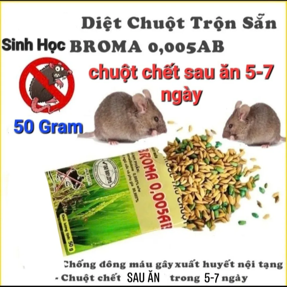 Top 10 Thuốc diệt chuột trong nh&agrave; hiệu quả, dễ d&ugrave;ng 2026 10