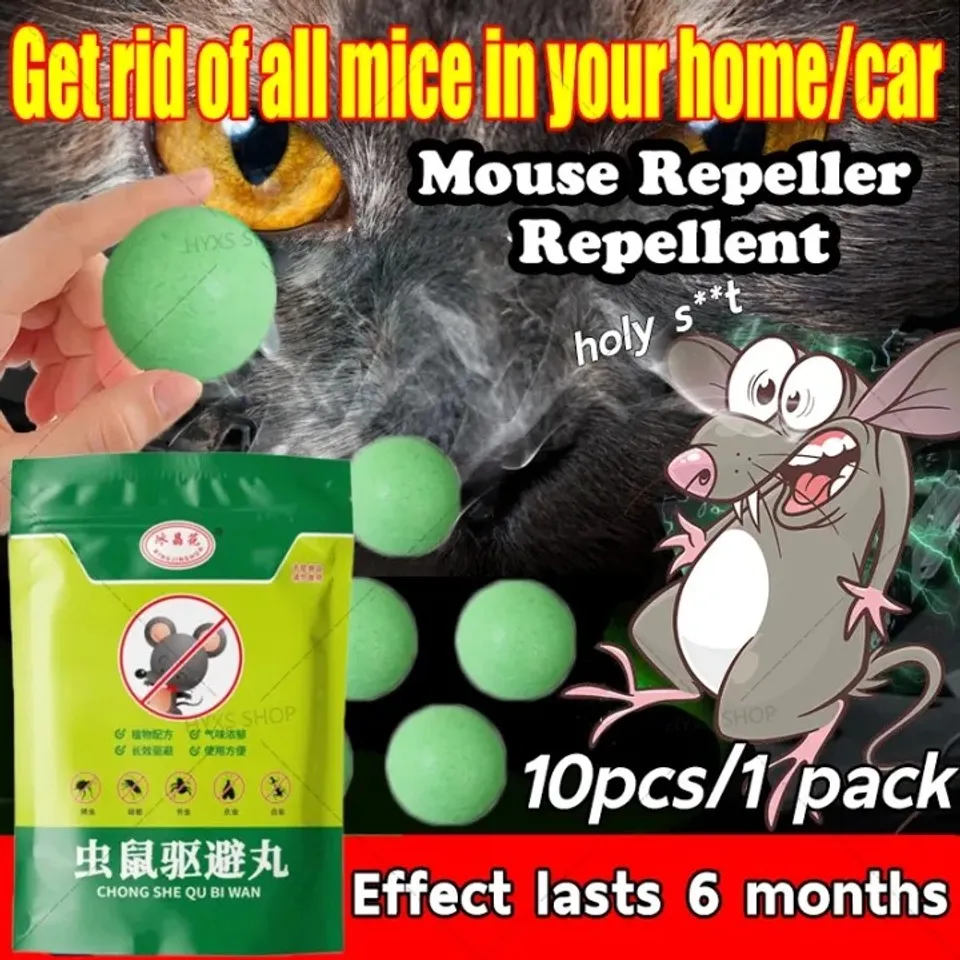 Top 10 Thuốc diệt chuột trong nh&agrave; hiệu quả, dễ d&ugrave;ng 2026 7