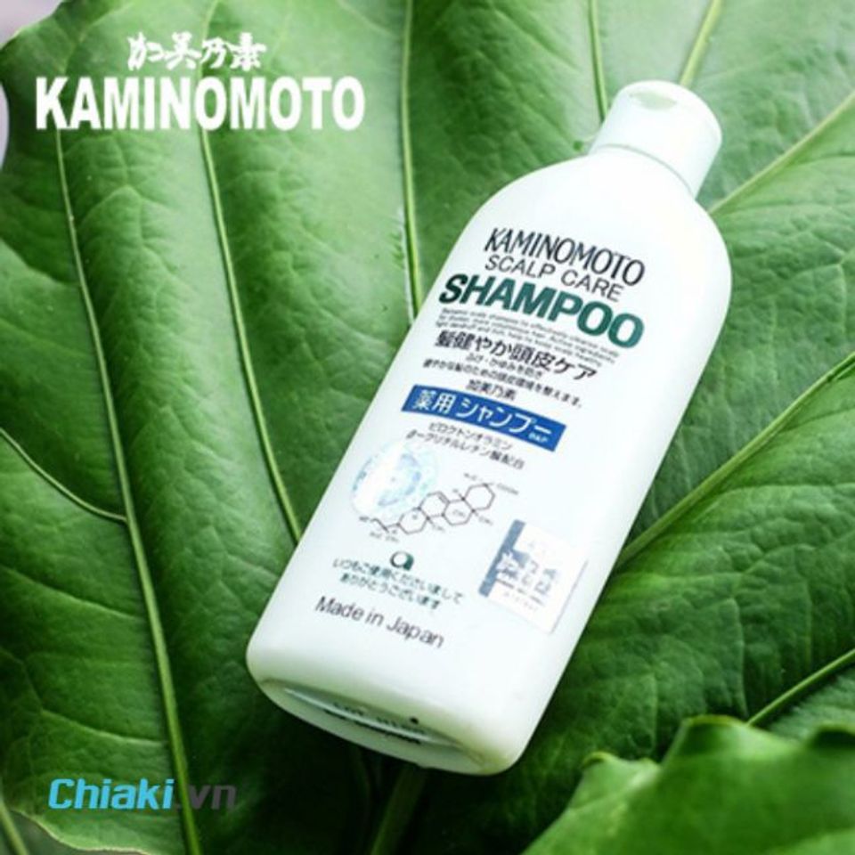 Dầu gội kiềm dầu của Nhật Kaminomoto Scalp Care Shampoo