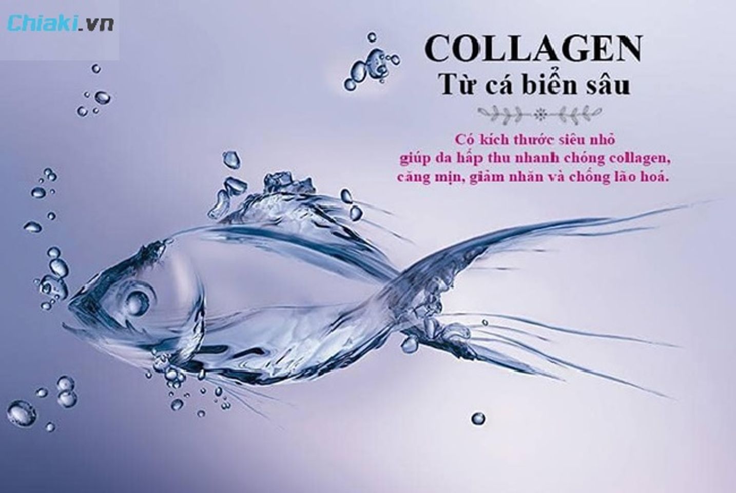 Giai đoạn 30 - 40 tuổi n&ecirc;n lựa chọn Collagen Peptide từ da c&aacute; để hấp thụ tốt hơn