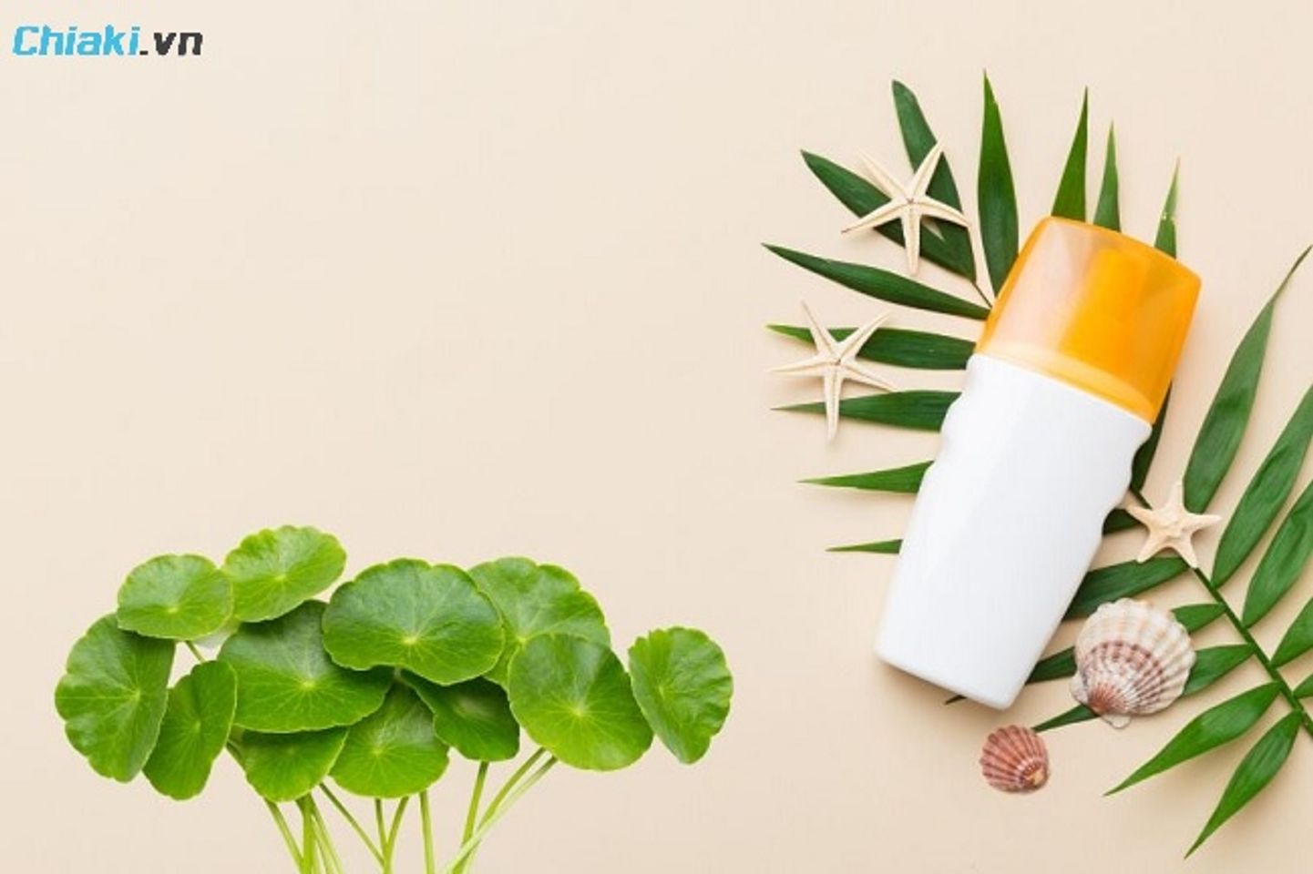 Lựa chọn kem chống nắng rau m&aacute; theo từng loại da ph&ugrave; hợp