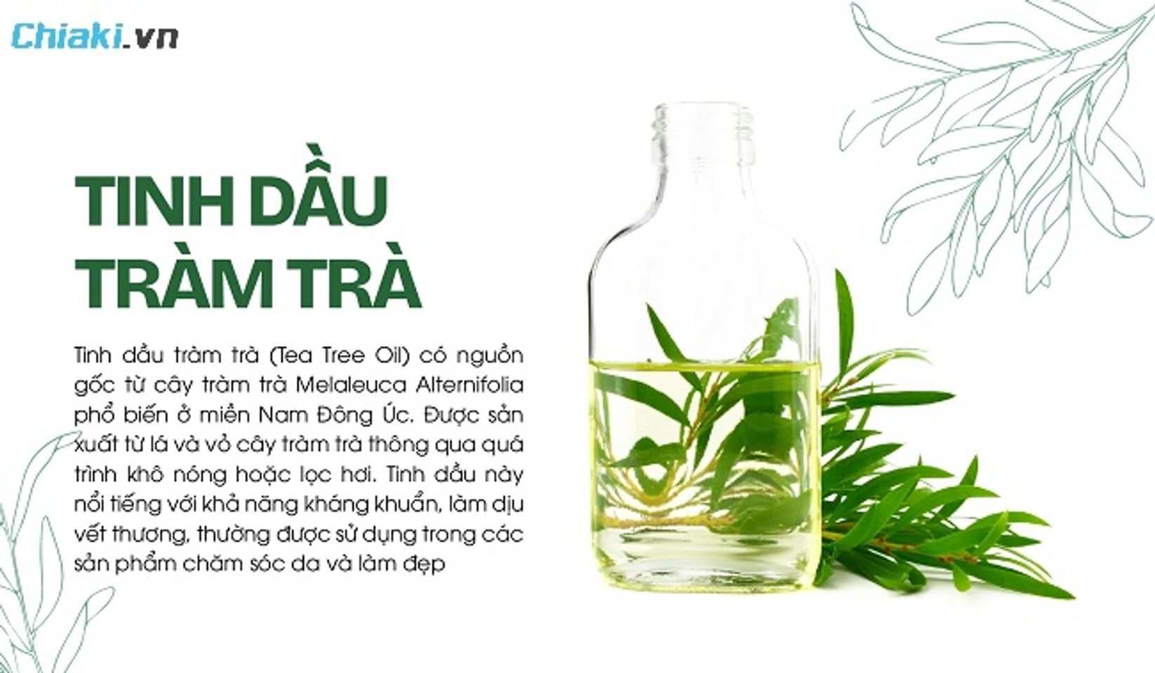 Kiểm tra nồng độ chiết xuất tr&agrave;m tr&agrave; dao động từ 0.5% - 5%