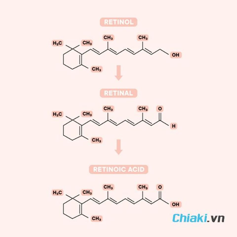 Cơ chế hoạt động của Retinal