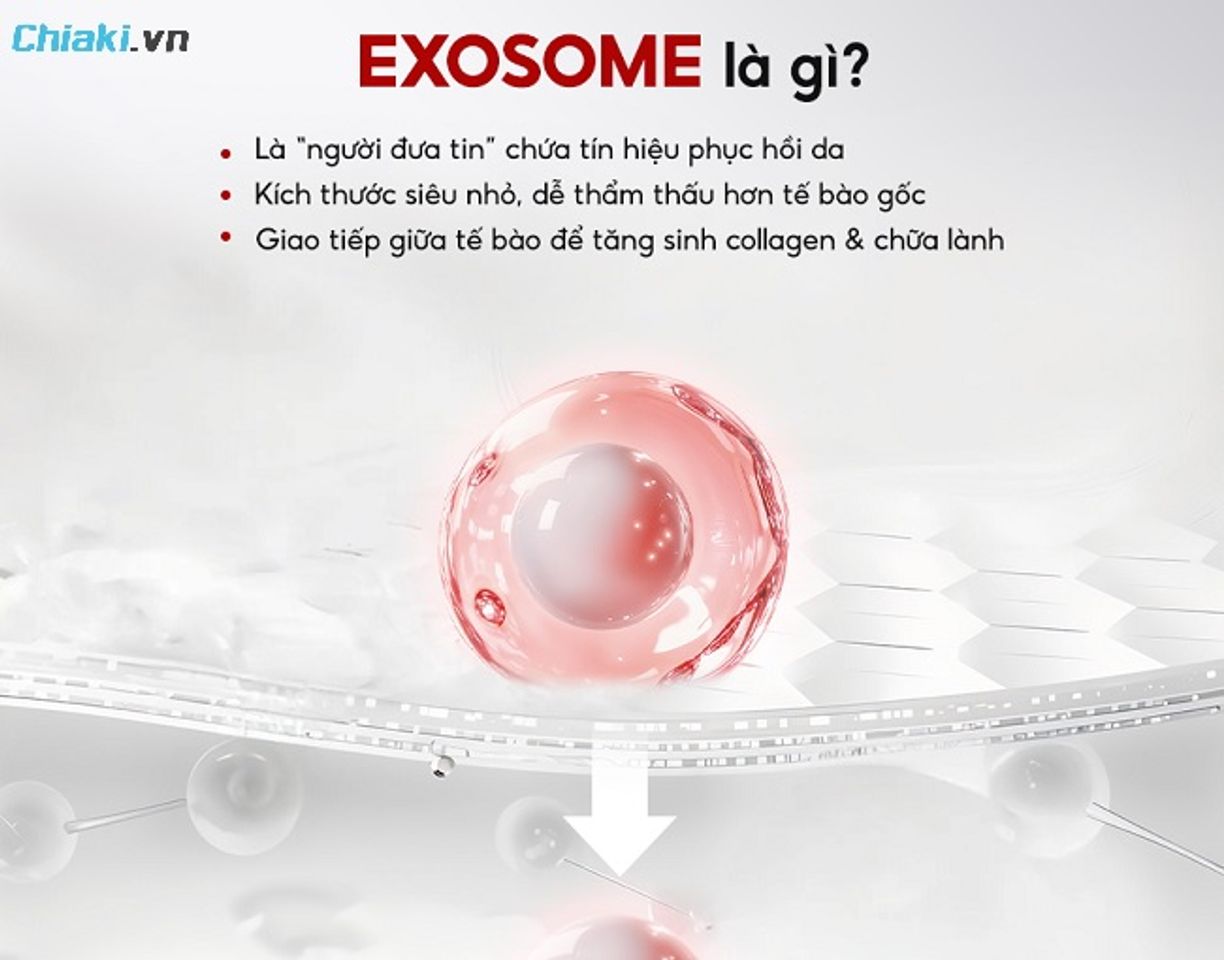 Serum Exosome l&agrave; d&ograve;ng tinh chất chăm s&oacute;c da được ứng dụng c&aacute;c t&uacute;i ngoại b&agrave;o si&ecirc;u nhỏ, chiết xuất từ tế b&agrave;o gốc sinh học.