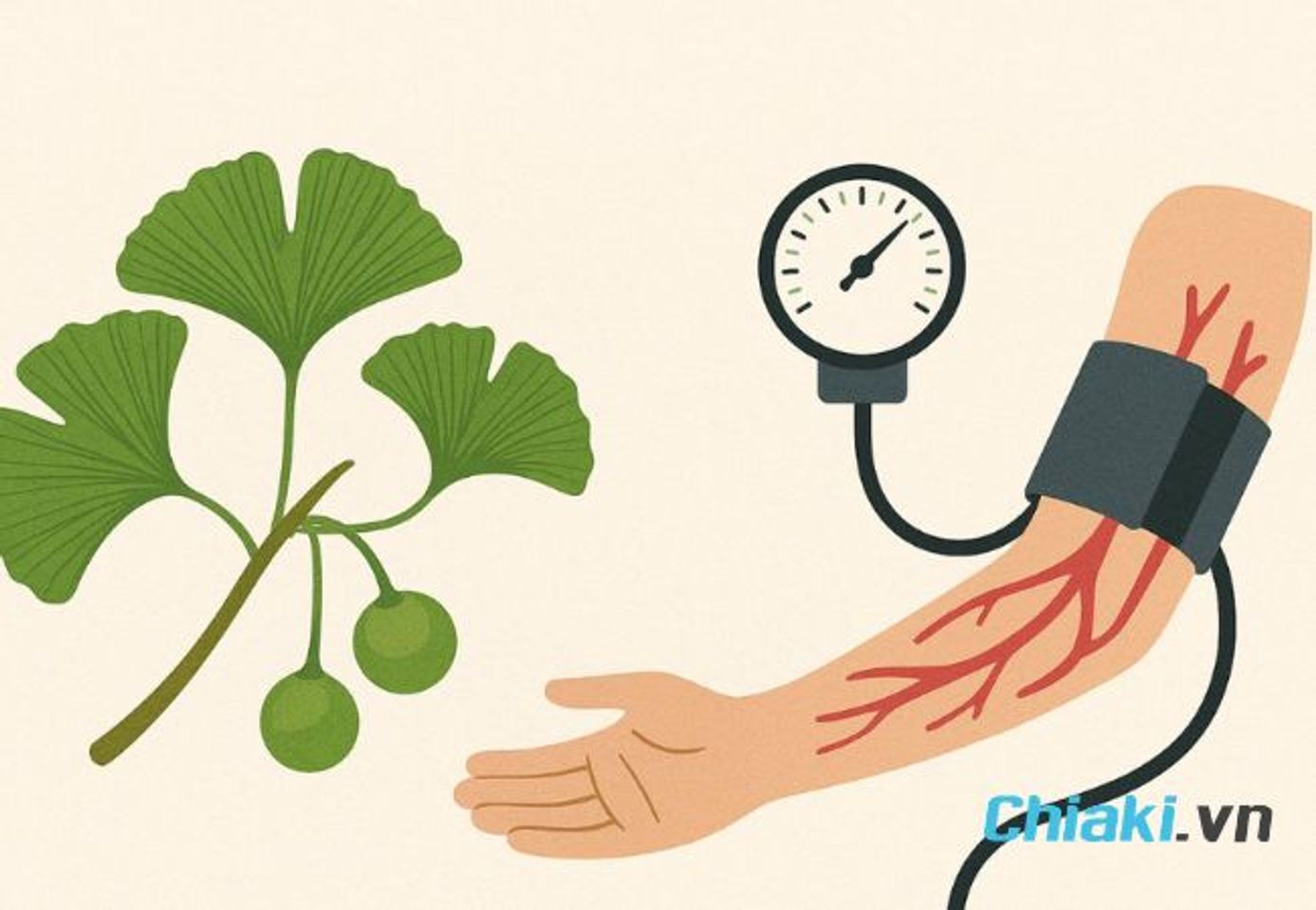 Người bị huyết &aacute;p cao uống Ginkgo Biloba c&oacute; lợi &iacute;ch g&igrave;