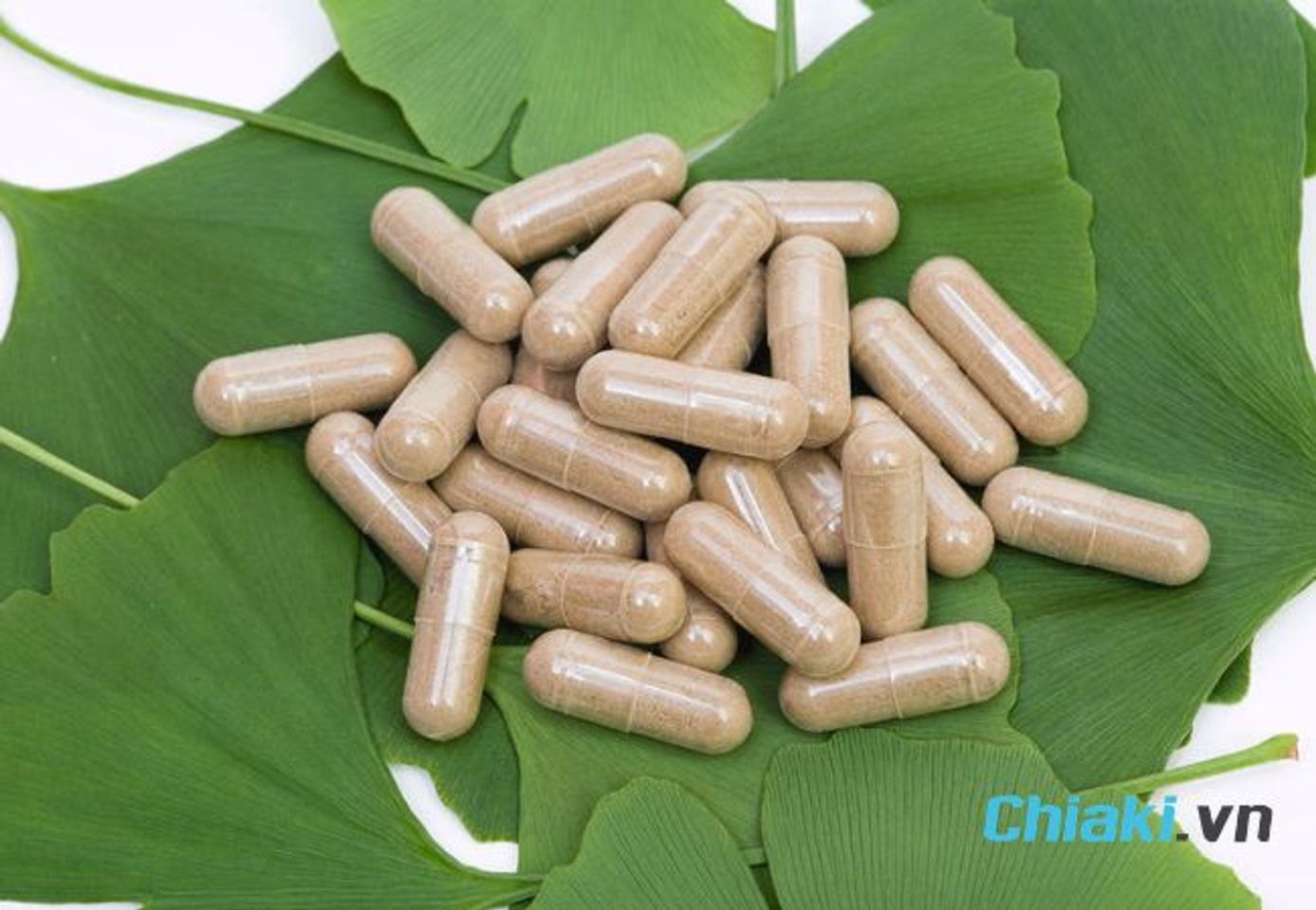 Người bị huyết &aacute;p cao uống Ginkgo Biloba cần lưu &yacute; g&igrave;