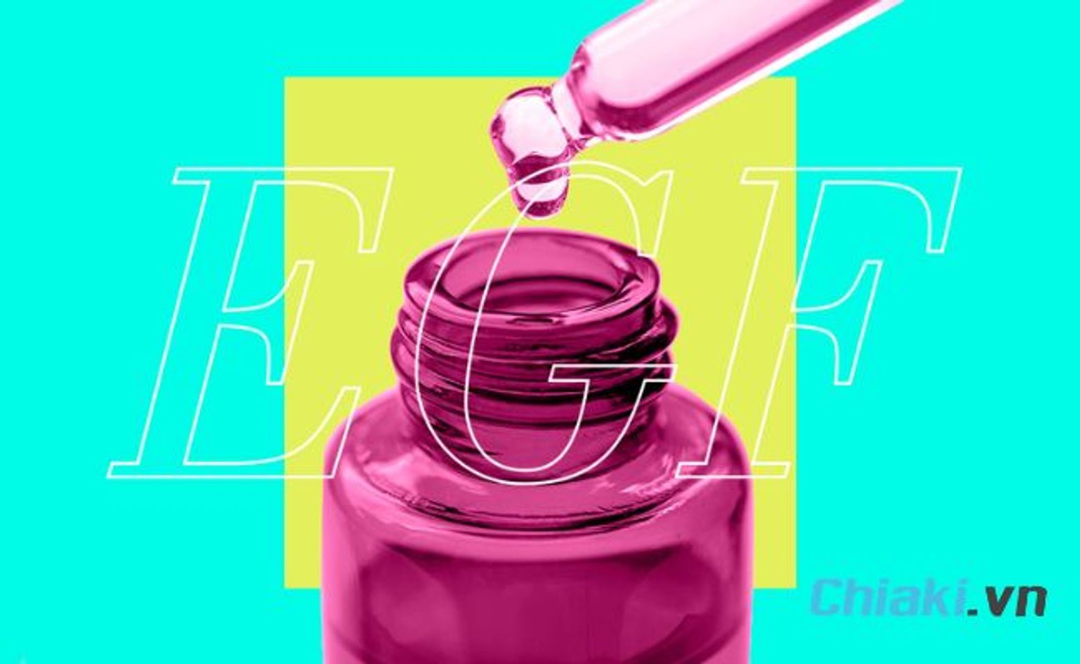 Serum EGF l&agrave; g&igrave;