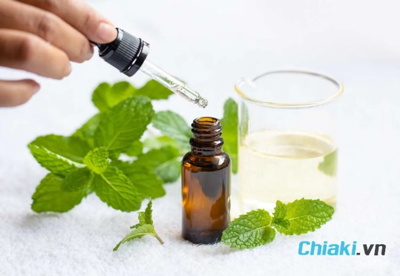C&aacute;ch đuổi gi&aacute;n ra khỏi nh&agrave; vĩnh viễn bằng tinh dầu bạc h&agrave;