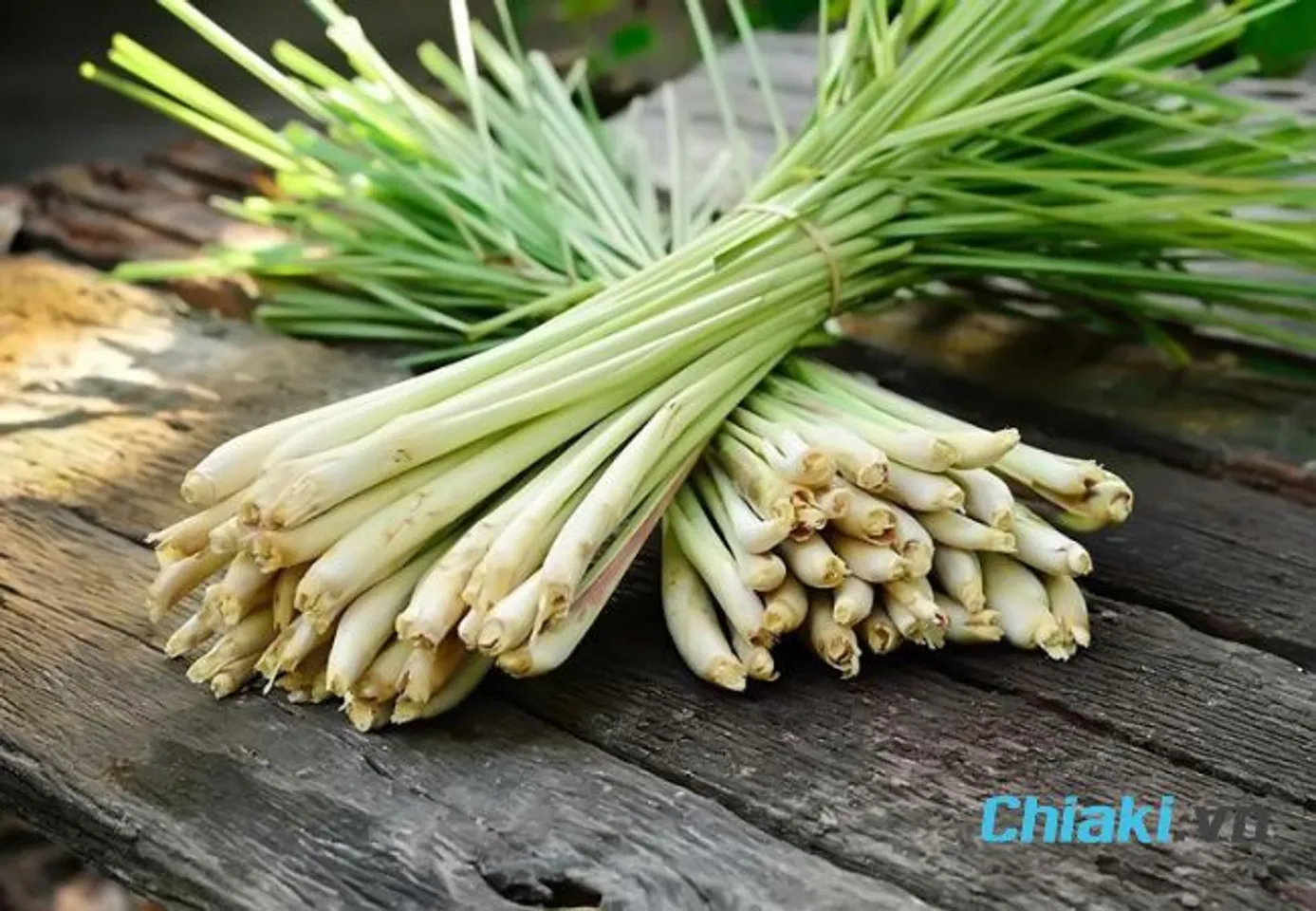 C&aacute;ch đuổi gi&aacute;n ra khỏi nh&agrave; vĩnh viễn bằng sả
