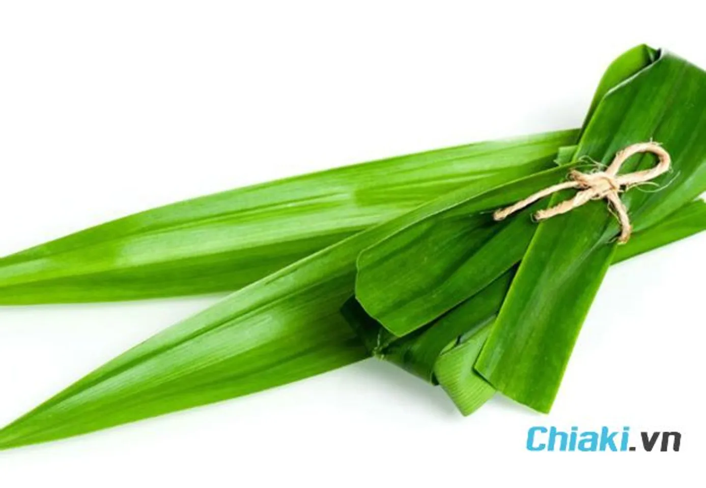 C&aacute;ch đuổi gi&aacute;n ra khỏi nh&agrave; vĩnh viễn bằng l&aacute; dứa