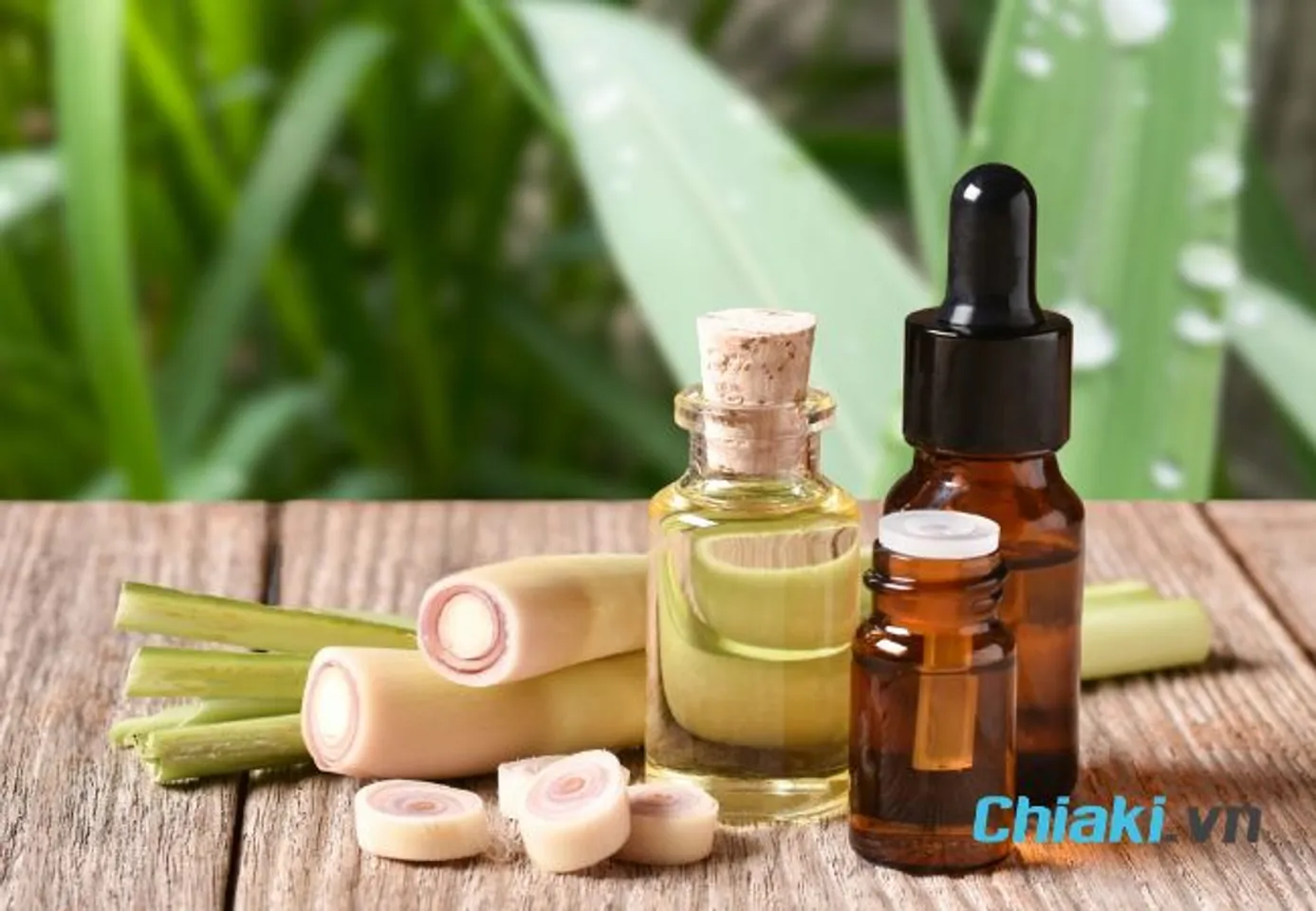 C&aacute;ch đuổi gi&aacute;n trong ph&ograve;ng ngủ bằng tinh dầu sả chanh
