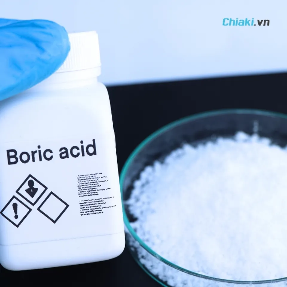 Sử dụng Axit Boric kết hợp đường v&agrave; nước ti&ecirc;u diệt cả đ&agrave;n gi&aacute;n