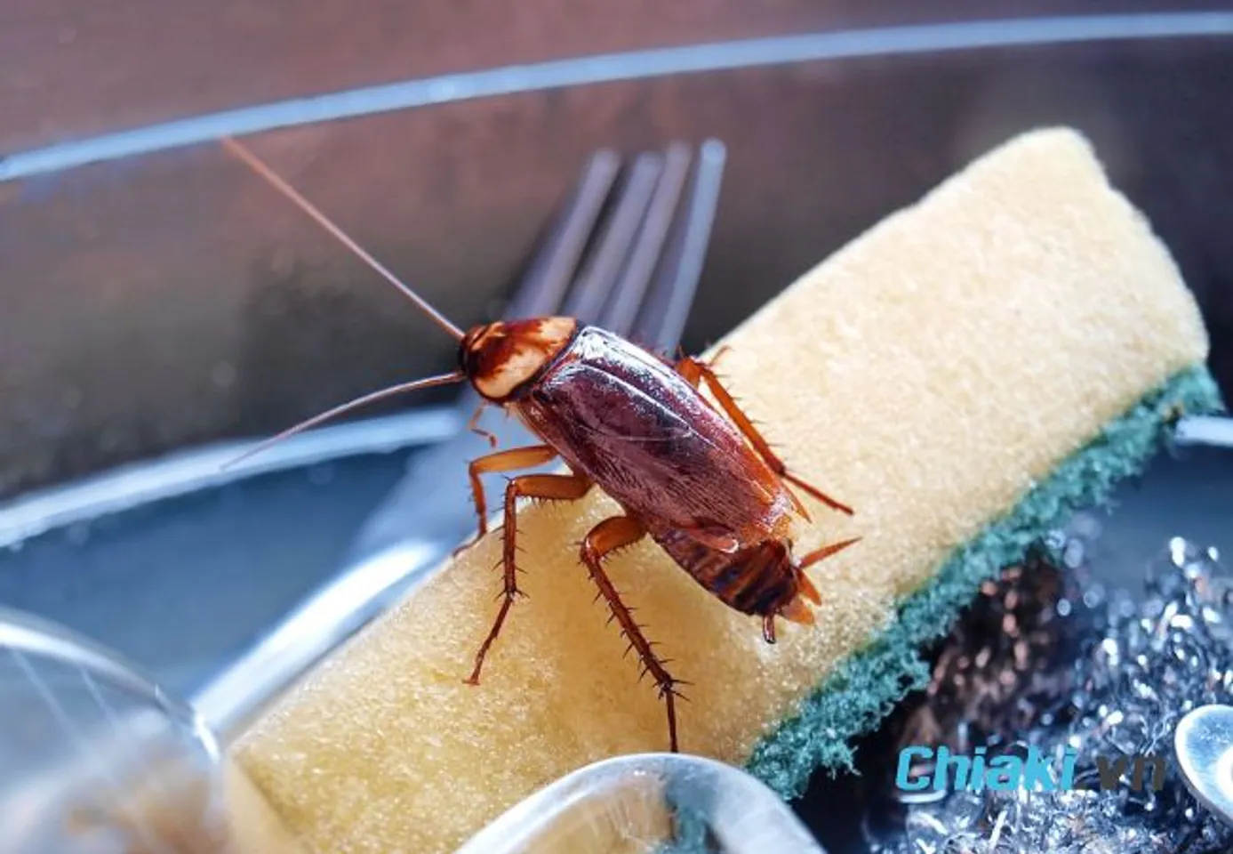 Nguy&ecirc;n nh&acirc;n v&igrave; sao nh&agrave; c&oacute; nhiều gi&aacute;n do c&oacute; nhiều khu vực ẩm ướt