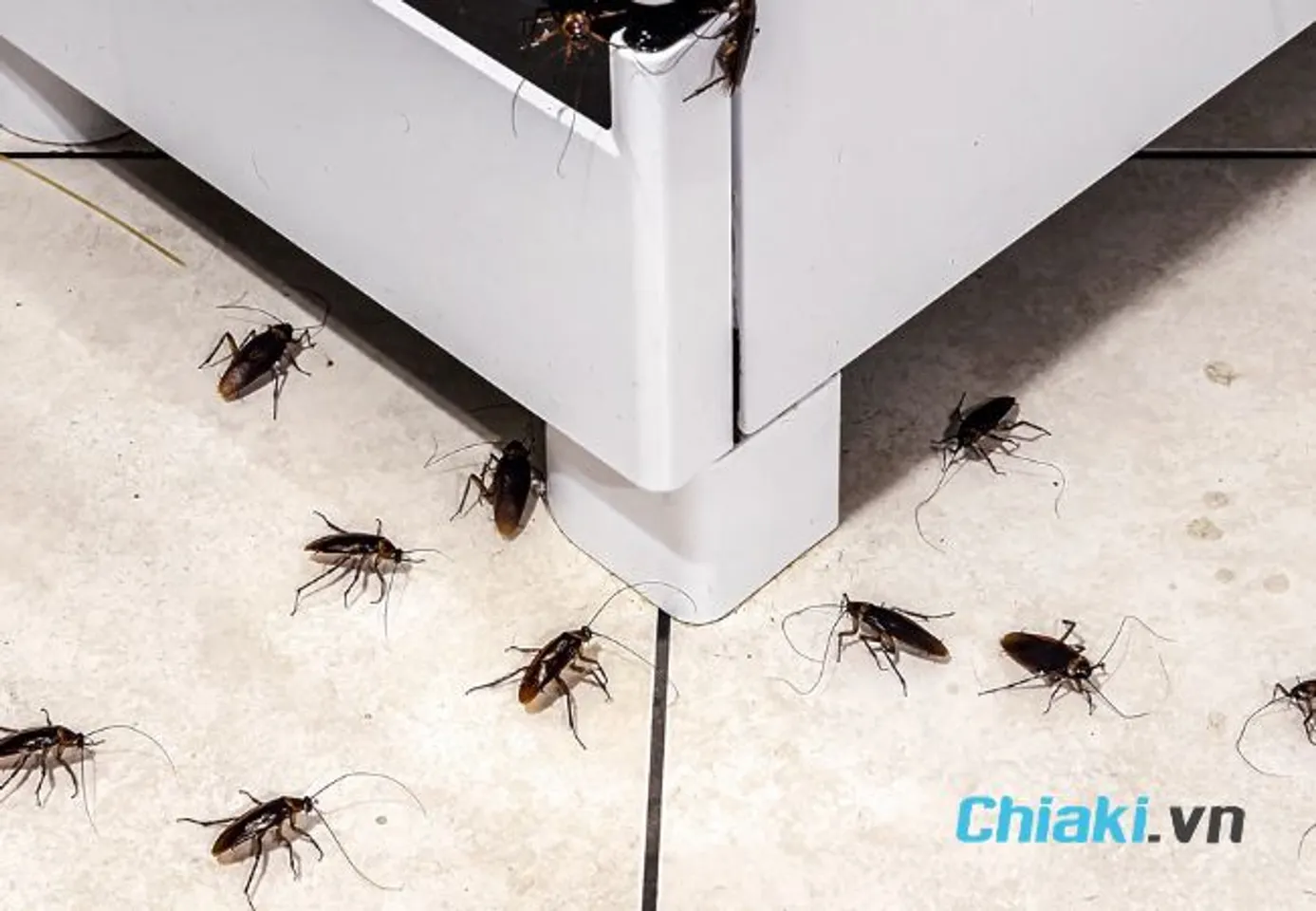 Nguy&ecirc;n nh&acirc;n v&igrave; sao nh&agrave; c&oacute; nhiều gi&aacute;n do c&oacute; nhiều kh&ocirc;ng gian tối