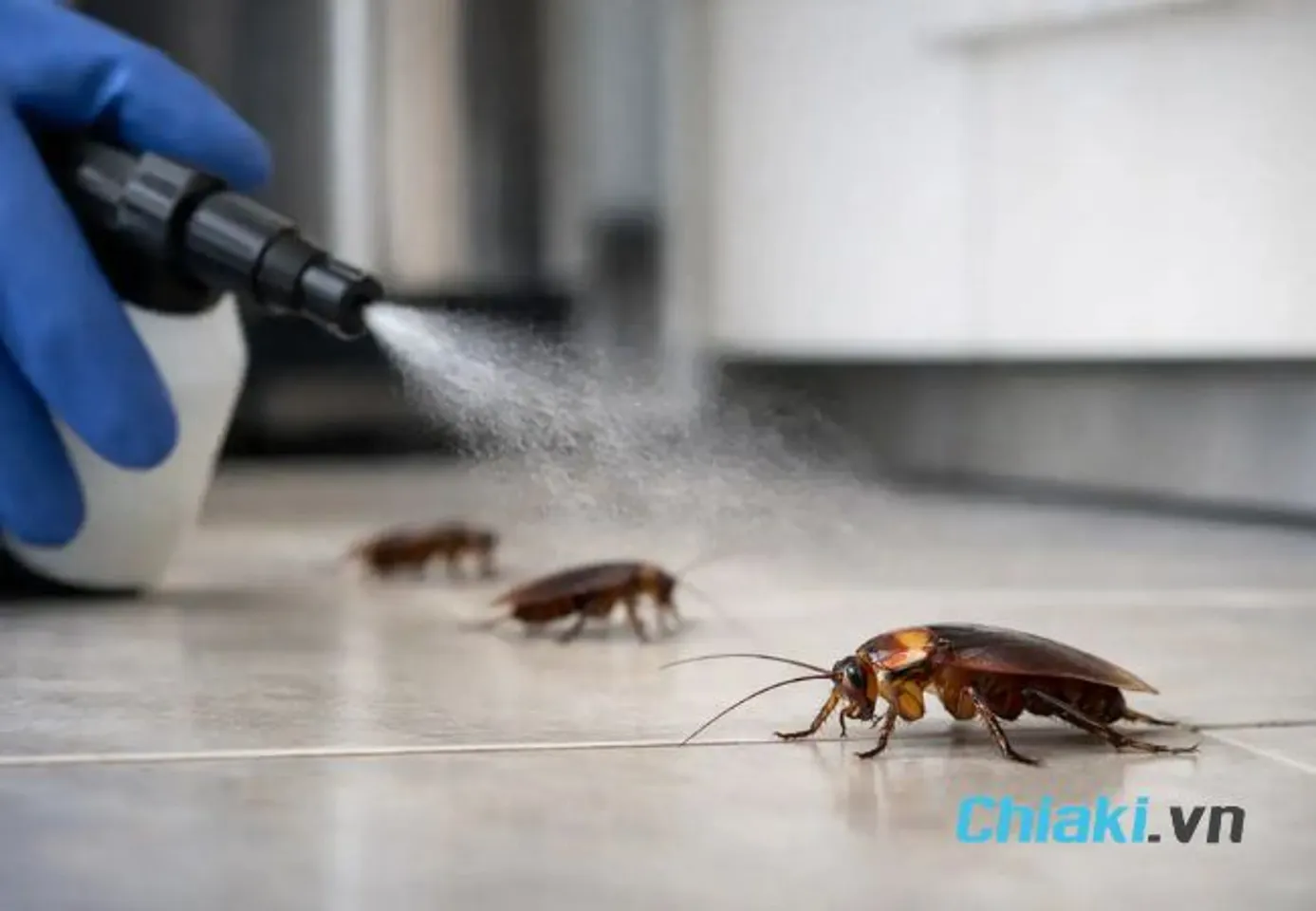 C&aacute;ch xử l&yacute; gi&aacute;n trong nh&agrave;