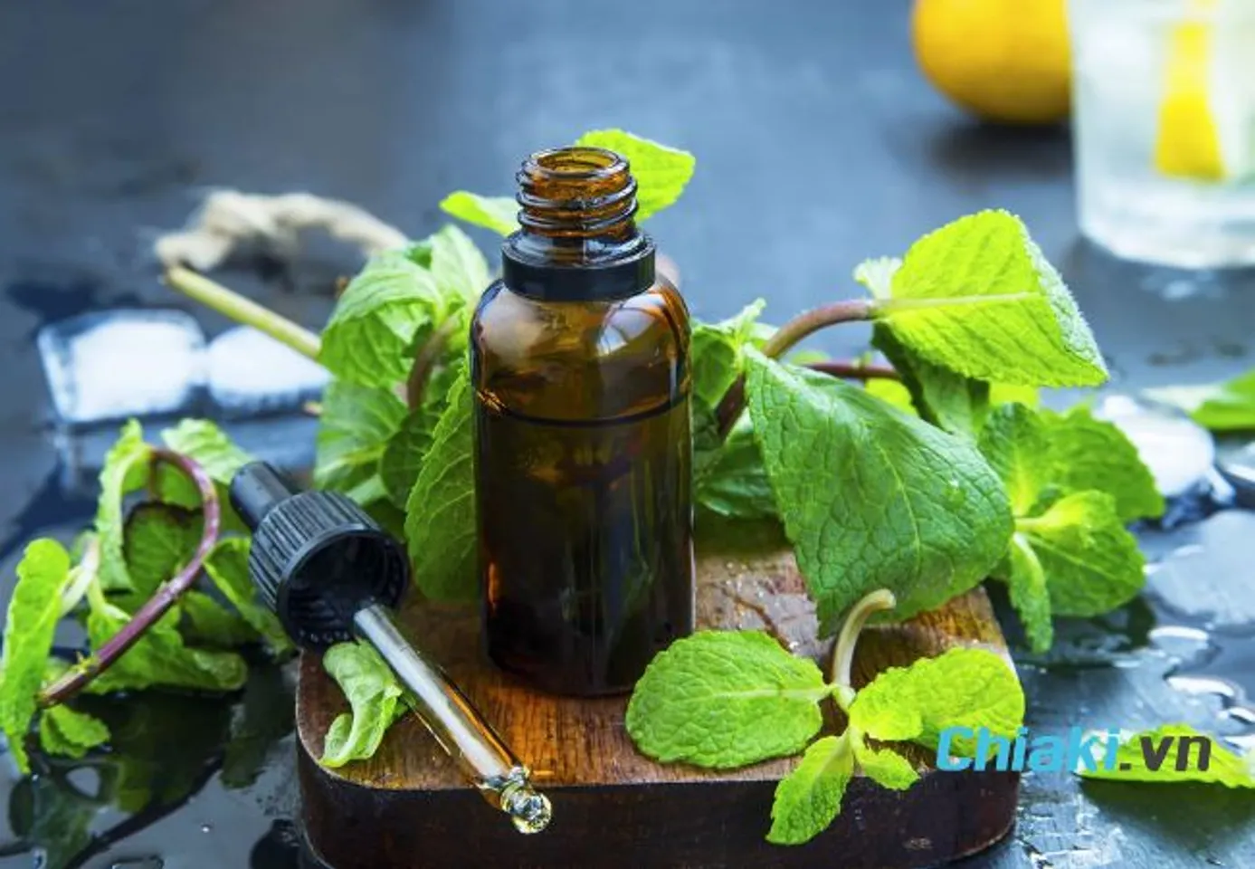 Tinh dầu bạc h&agrave; đuổi gi&aacute;n
