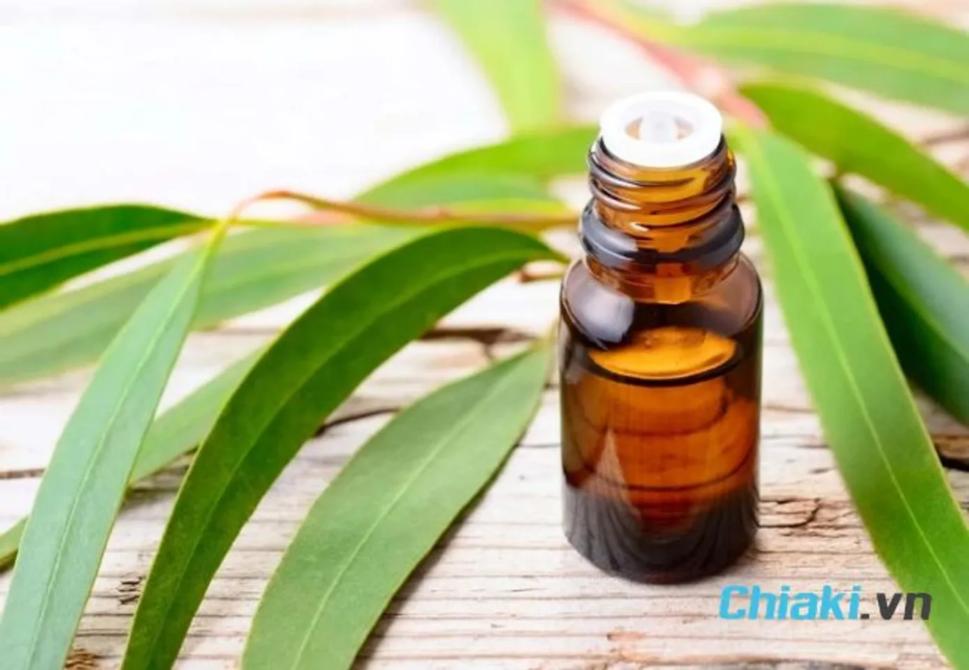 Tinh dầu khuynh diệp đuổi gi&aacute;n