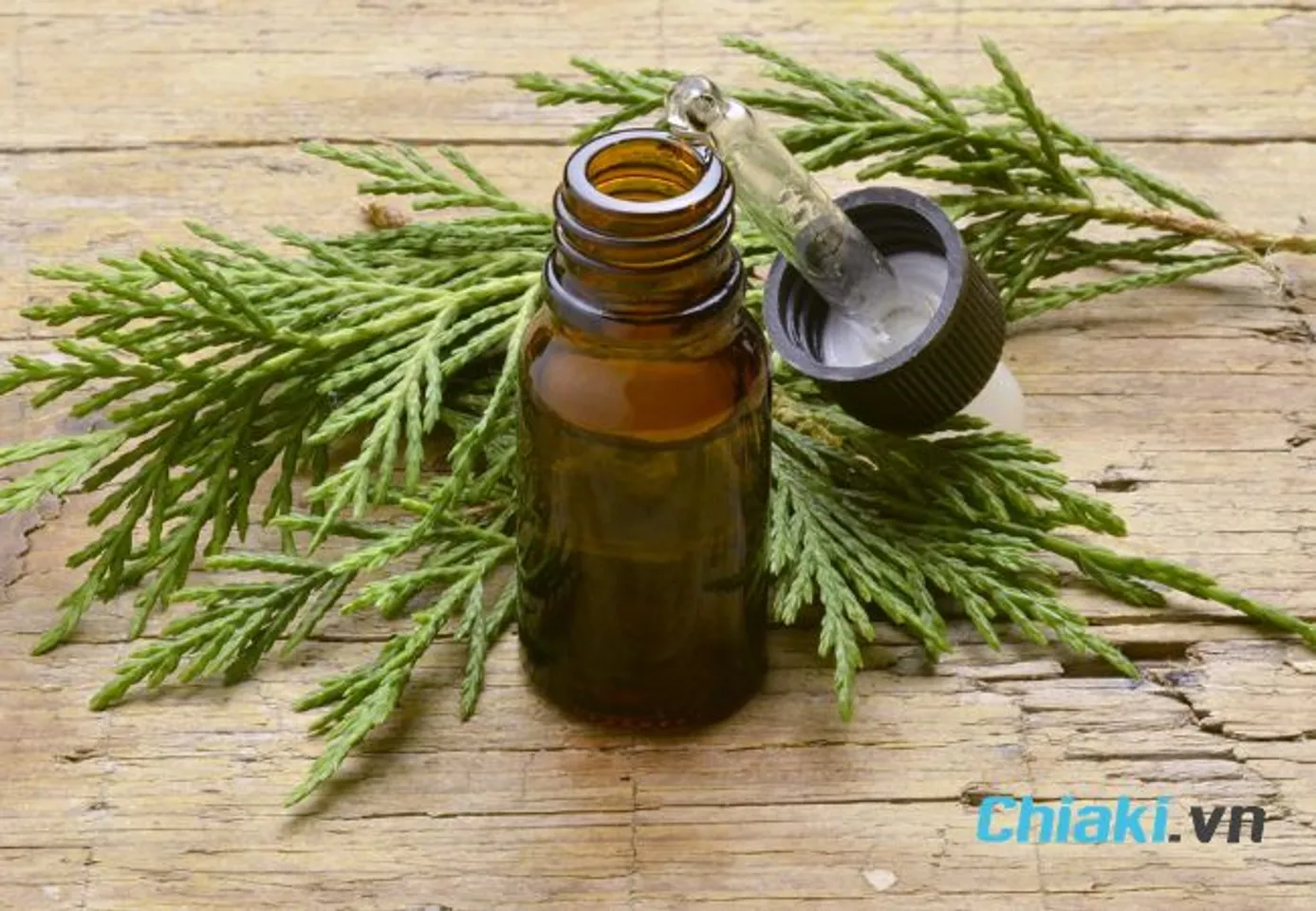 Tinh dầu b&aacute;ch t&ugrave;ng đuổi gi&aacute;n