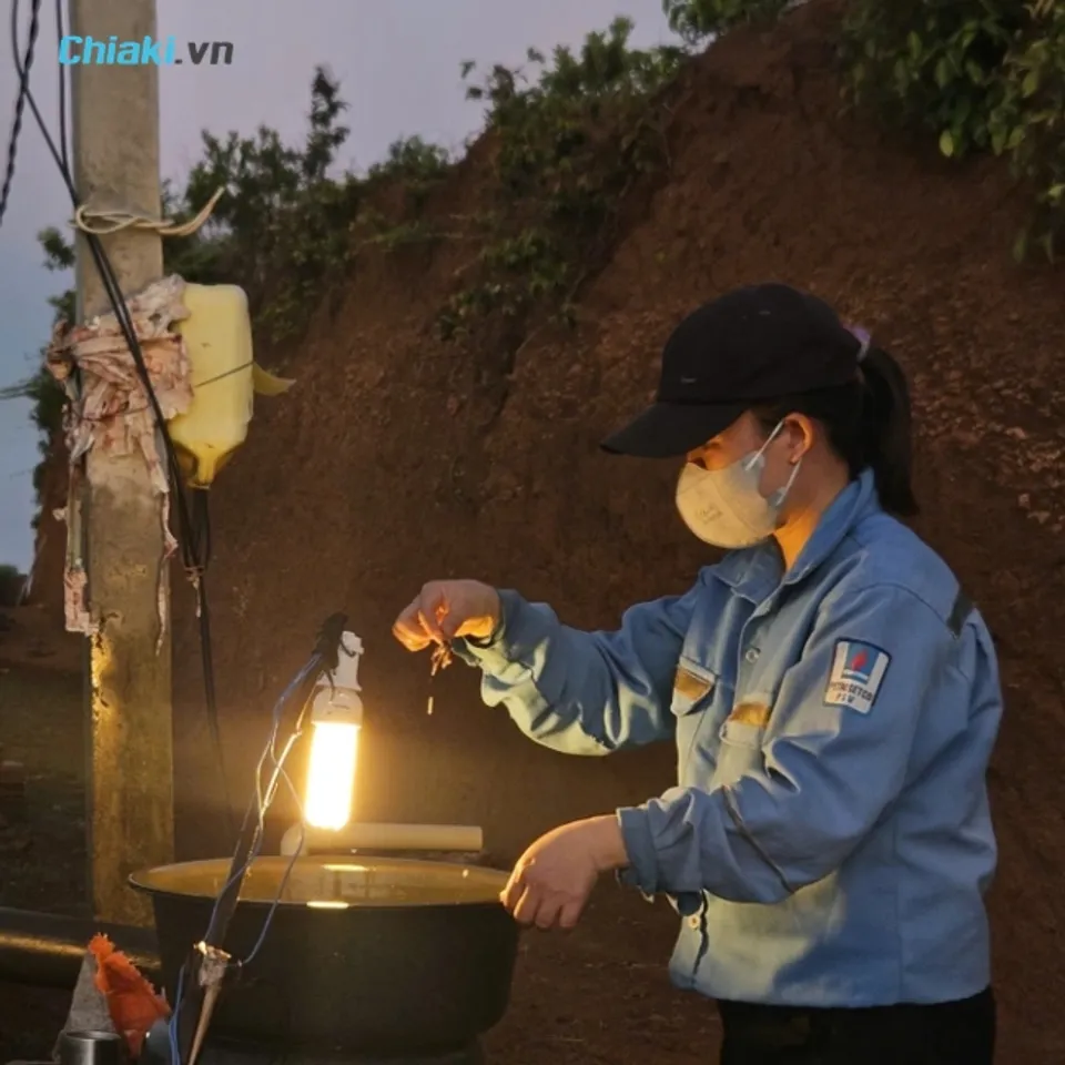 D&ugrave;ng bẫy đ&egrave;n v&agrave; chậu nước để diệt mối c&aacute;nh ban đ&ecirc;m ddeeer thu gom v&agrave; hạn chế ph&aacute;t t&aacute;n