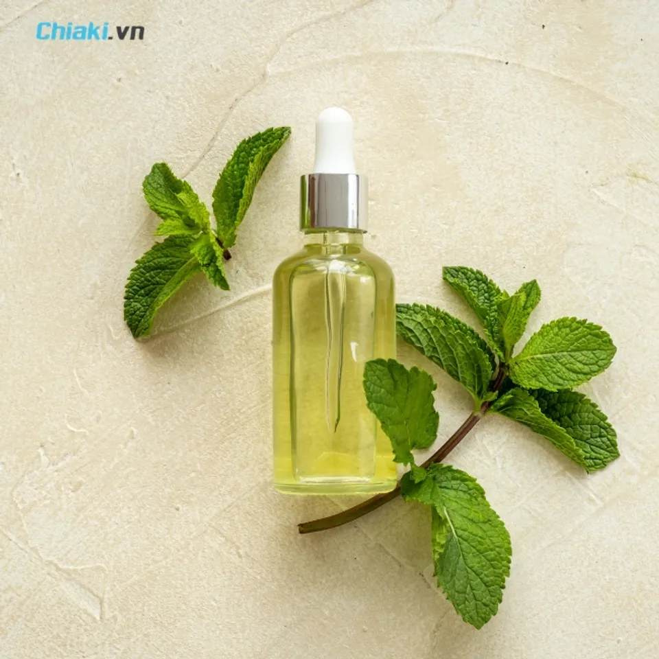 Sử dụng tinh dầu bạc h&agrave; hoặc l&aacute; bạc h&agrave; tươi xua đuổi chuột kh&aacute; tốt