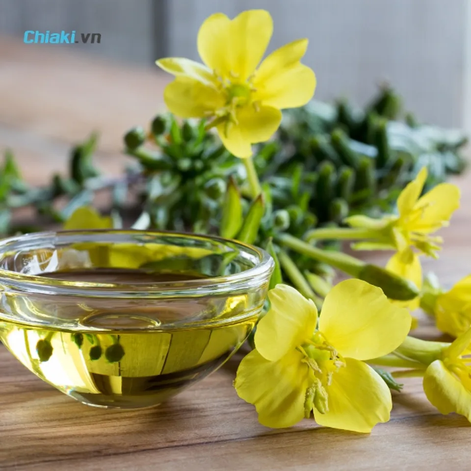 Uống tinh dầu hoa anh thảo li&ecirc;n tục trong 2 đến 3 th&aacute;ng, sau đ&oacute; ngừng khoảng 1 đến 2 th&aacute;ng