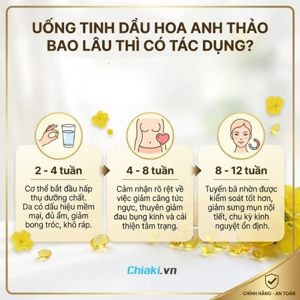 Đa số phụ nữ sẽ bắt đầu cảm nhận được hiệu quả t&iacute;ch cực của tinh dầu hoa anh thảo từ 4 - 8 tuần
