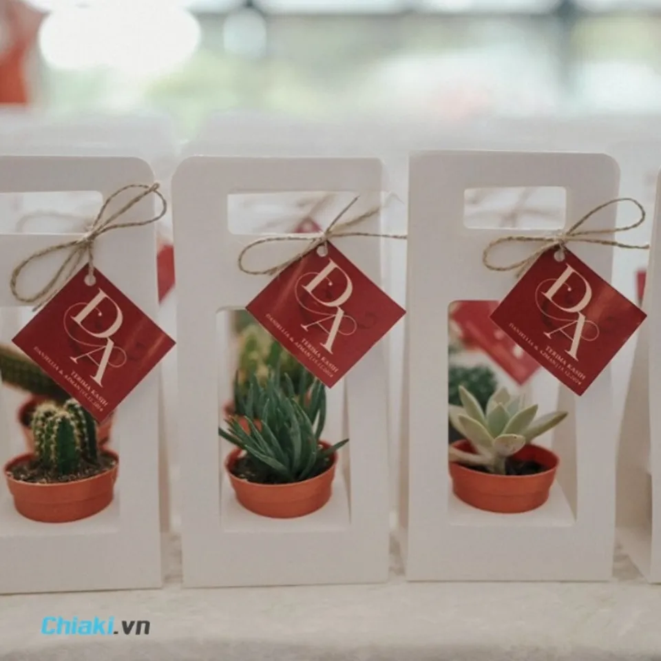 C&acirc;y cảnh mini l&agrave; qu&agrave; đ&aacute;p lễ gần gũi thi&ecirc;n nhi&ecirc;n