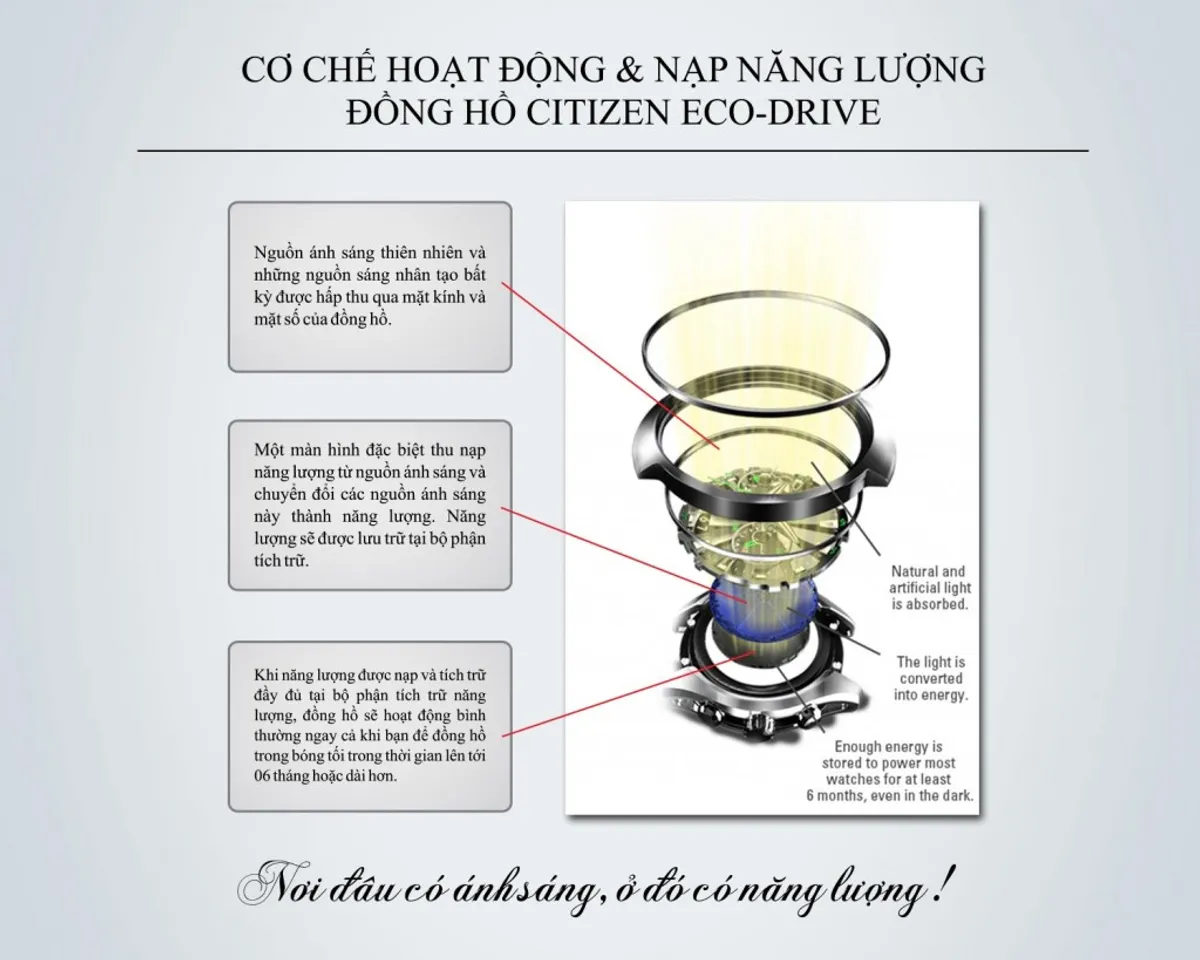 Cơ chế hoạt động của đồng hồ Citizen Eco-Drive