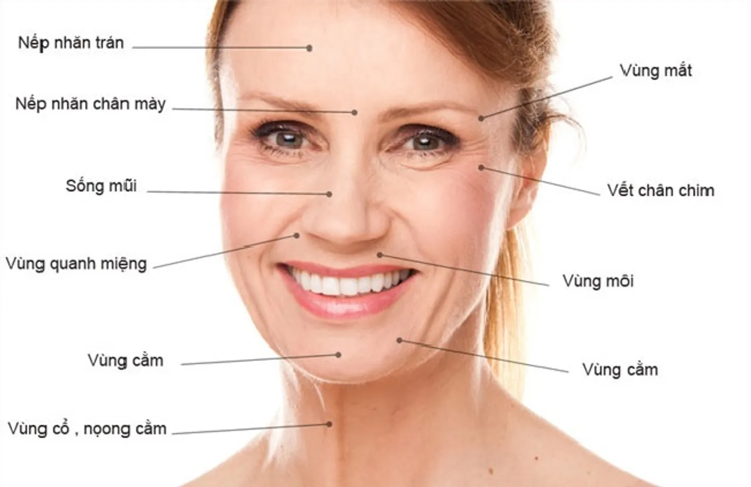Vai trò quan trọng của super collagen c trong việc gìn giữ sắc đẹp 
