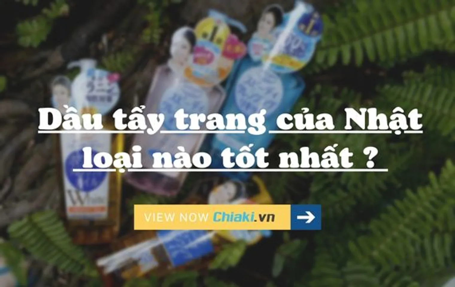 Copyright @Chiaki.vn