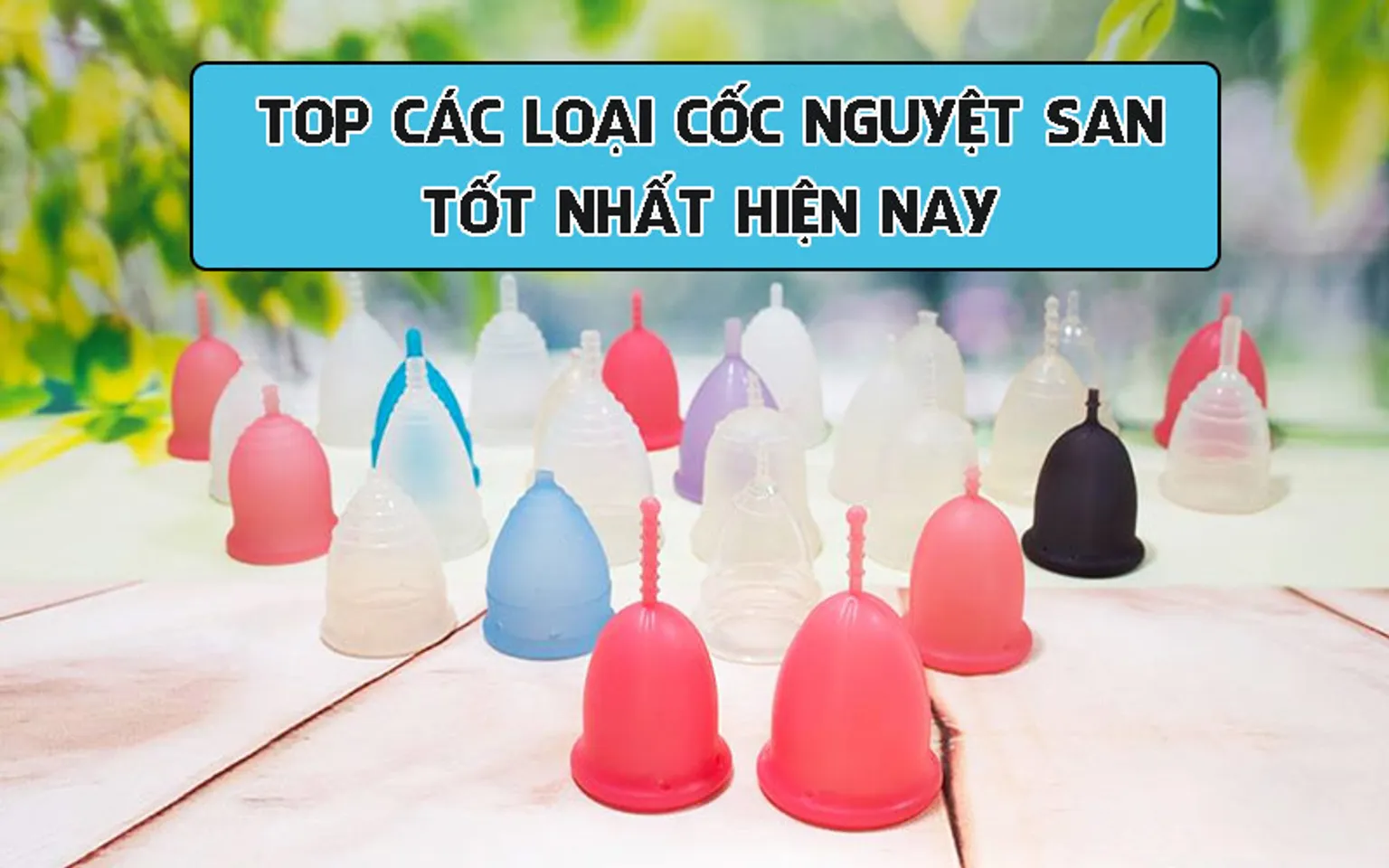 Copyright @Chiaki.vn