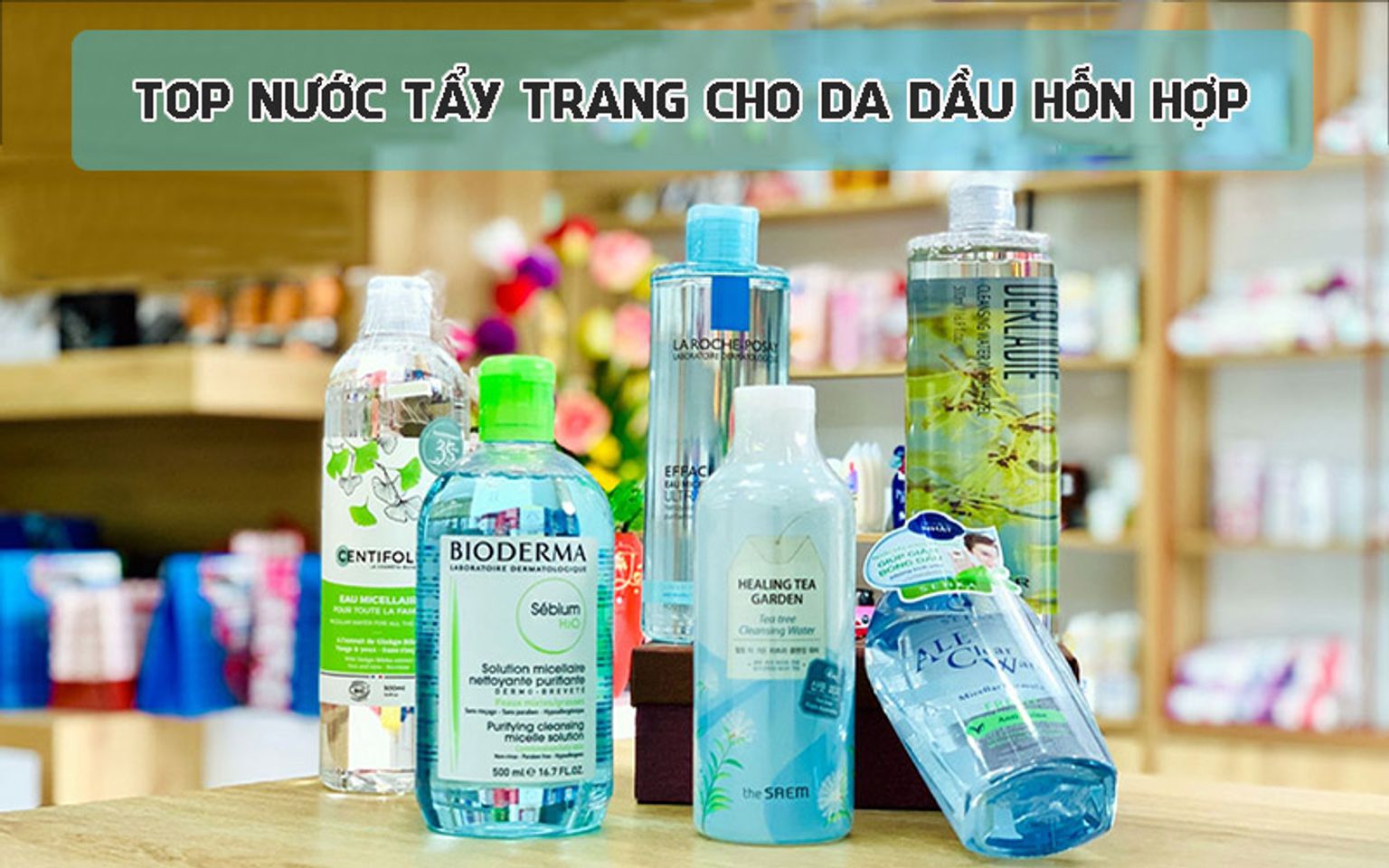 Copyright @Chiaki.vn