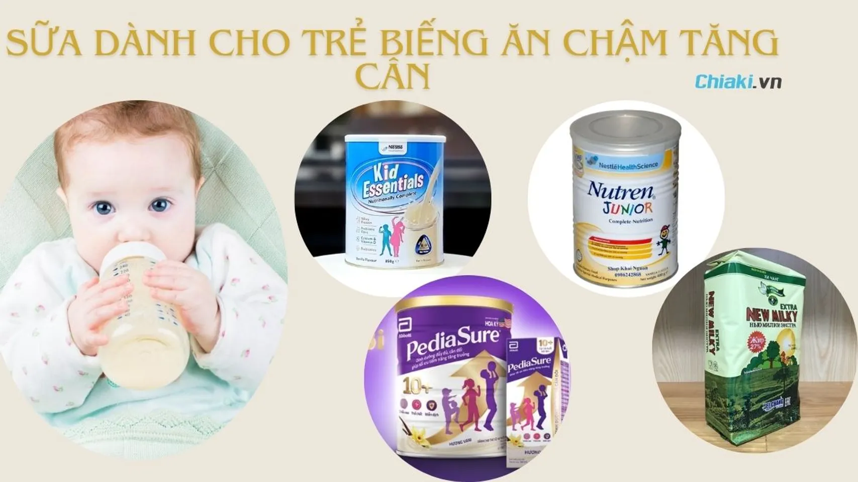 Copyright @Chiaki.vn