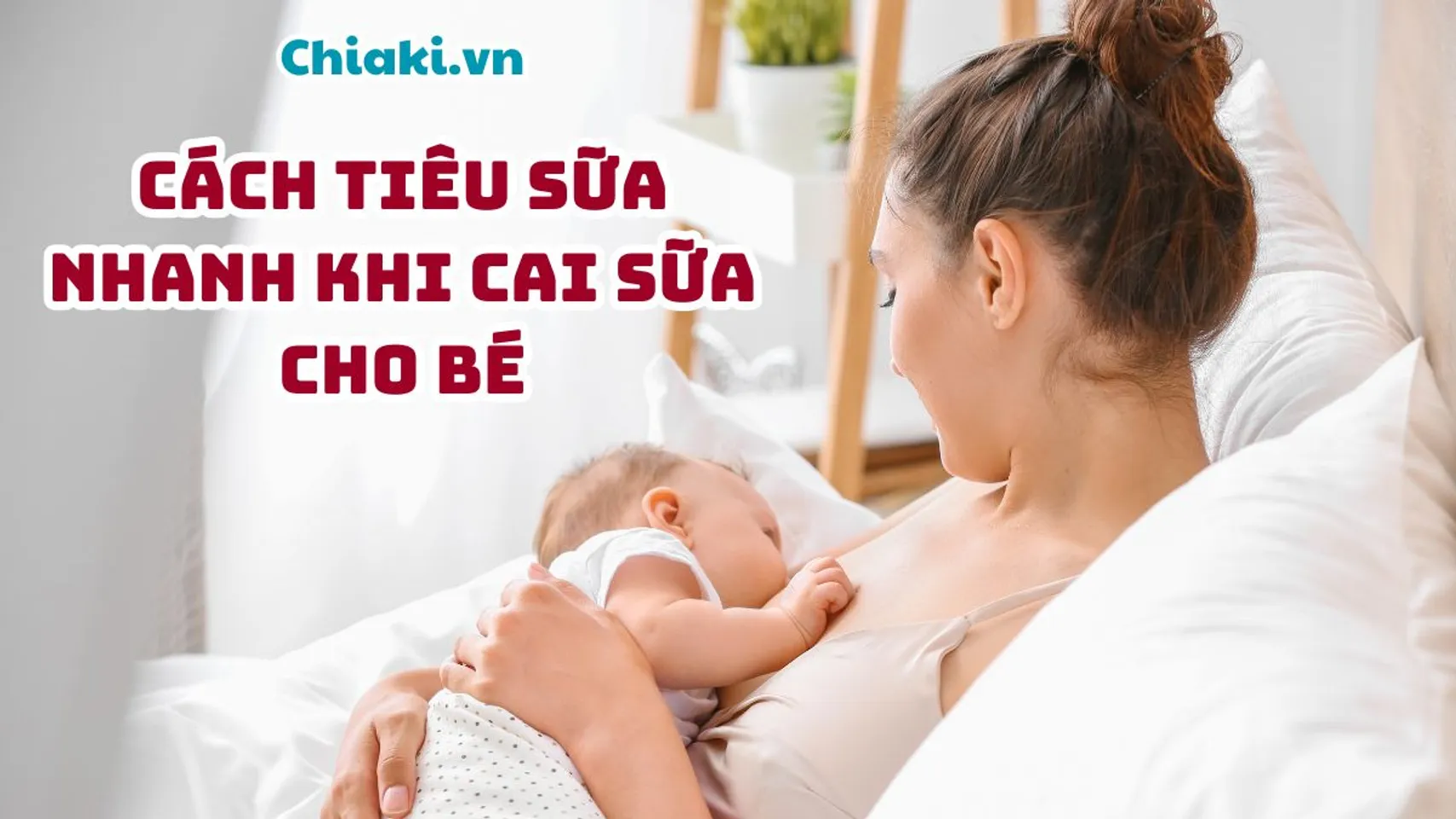 Copyright @Chiaki.vn