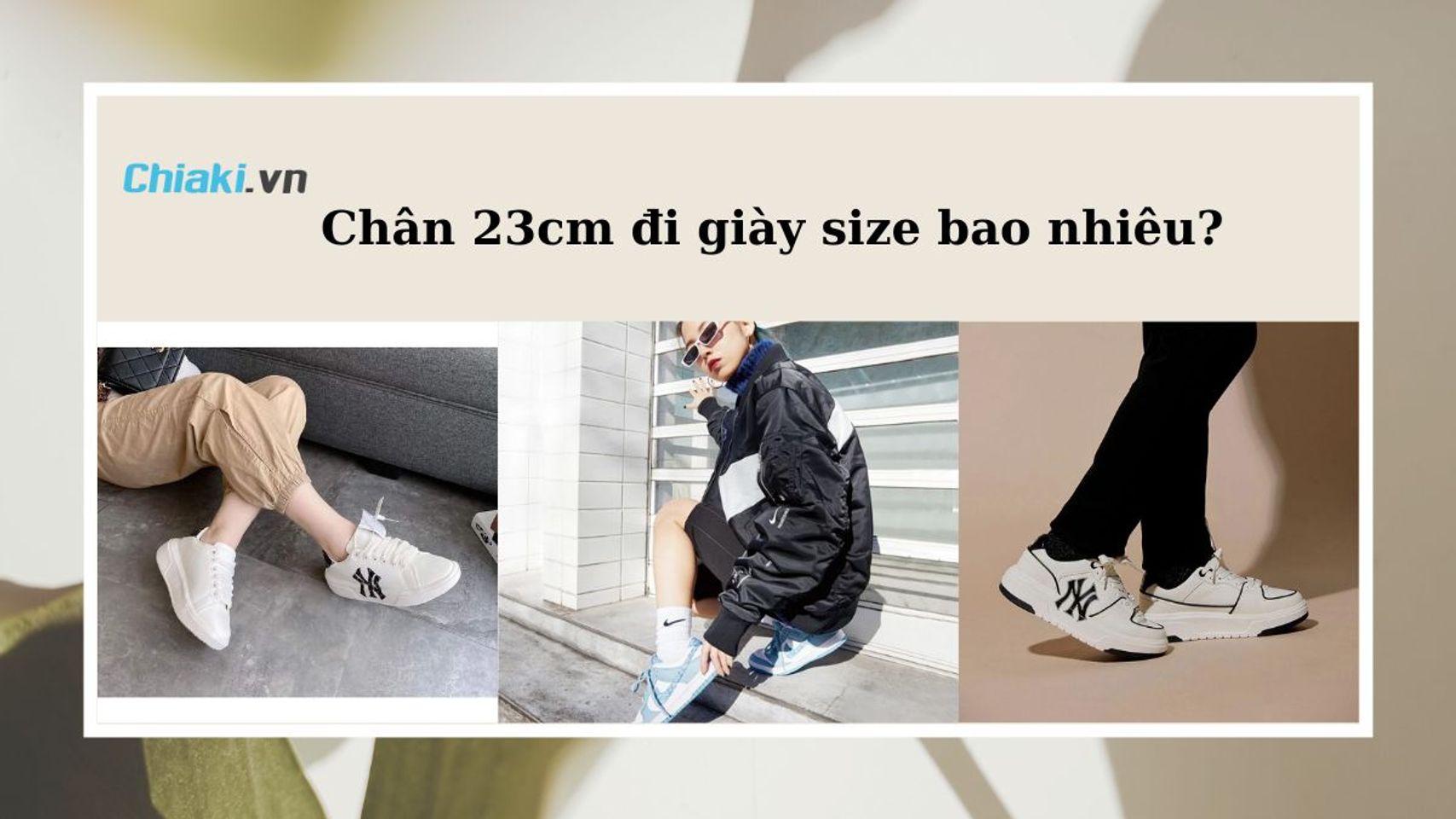 Copyright @Chiaki.vn
