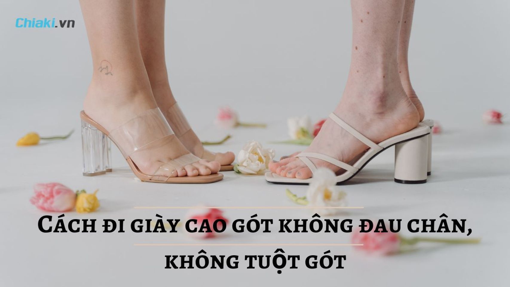 Copyright @Chiaki.vn