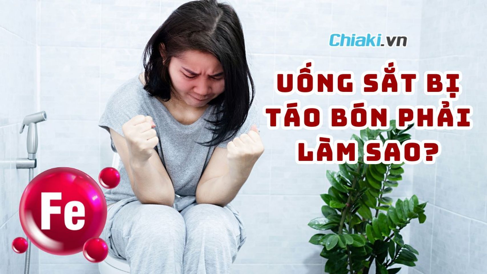 Copyright @Chiaki.vn