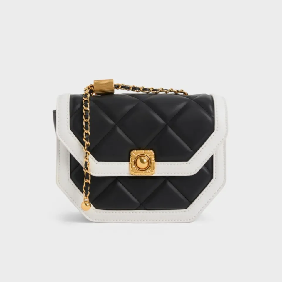 Lovely Chanel Timeless Medium limited edition single flap bag in black   beige twotone quilted lambskin Leather ref748796  Joli Closet