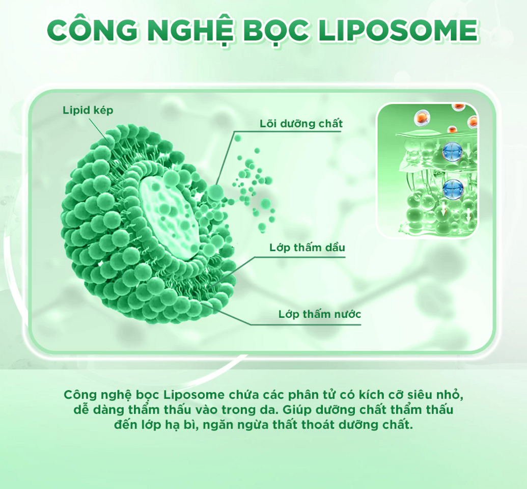 Mặt Nạ Wonjin Effect Nourising Supplement - Hỗ Trợ Phục Hồi Da Khô Yếu - Dưỡng Ẩm Sâu, Tái Tạo Và Làm Sáng Da