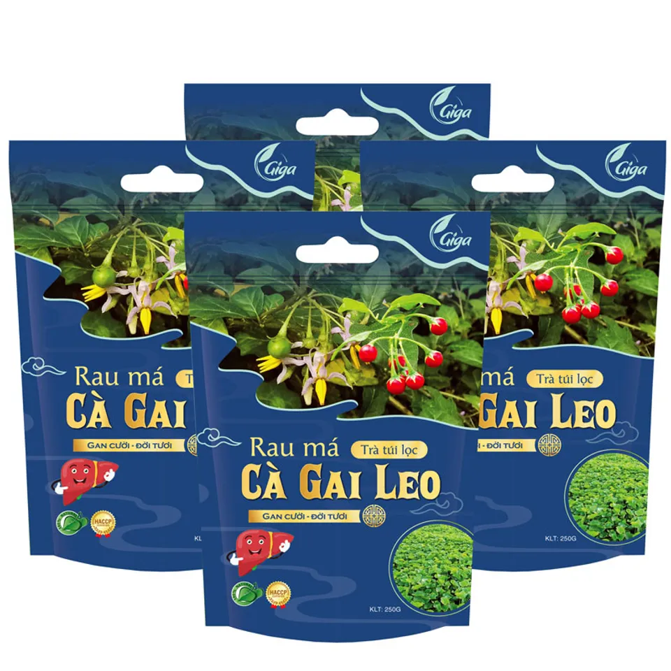 Trà Túi Lọc Rau Má Cà Gai Leo GIGA 250g - Thanh Nhiệt, Tăng Cường Gan ...
