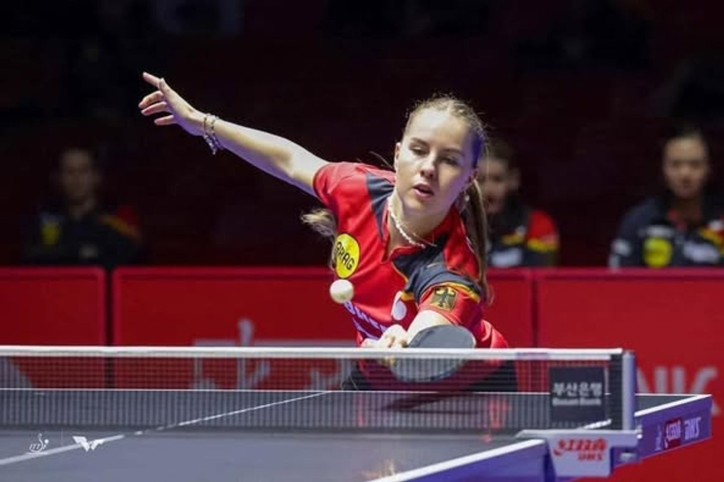 Bộ 2 Vợt Bóng Bàn Chuyên Nghiệp Carlton - Kèm 3 Bóng, Cao Cấp, Thể Thao Nội Bộ, Câu Lạc Bộ, Văn Phòng