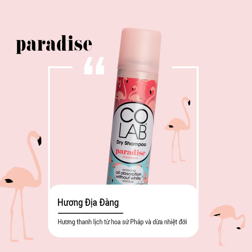 Dầu Gội Khô Colab Paradise 200ml - Tóc Sạch Bồng Bềnh Mềm Mượt Chỉ Sau 5 Giây, Dưỡng Tóc Tự Nhiên, Thân Thiện Cho Tóc Nhuộm