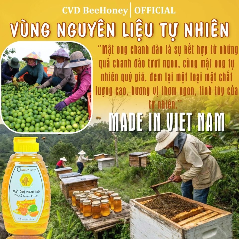 Mật Ong Chanh Đào Nguyên Chất CVDBEEHONEY 500g - Tăng Đề Kháng, Hỗ Trợ Sức Khỏe, Làm Đẹp Da Từ Thiên Nhiên